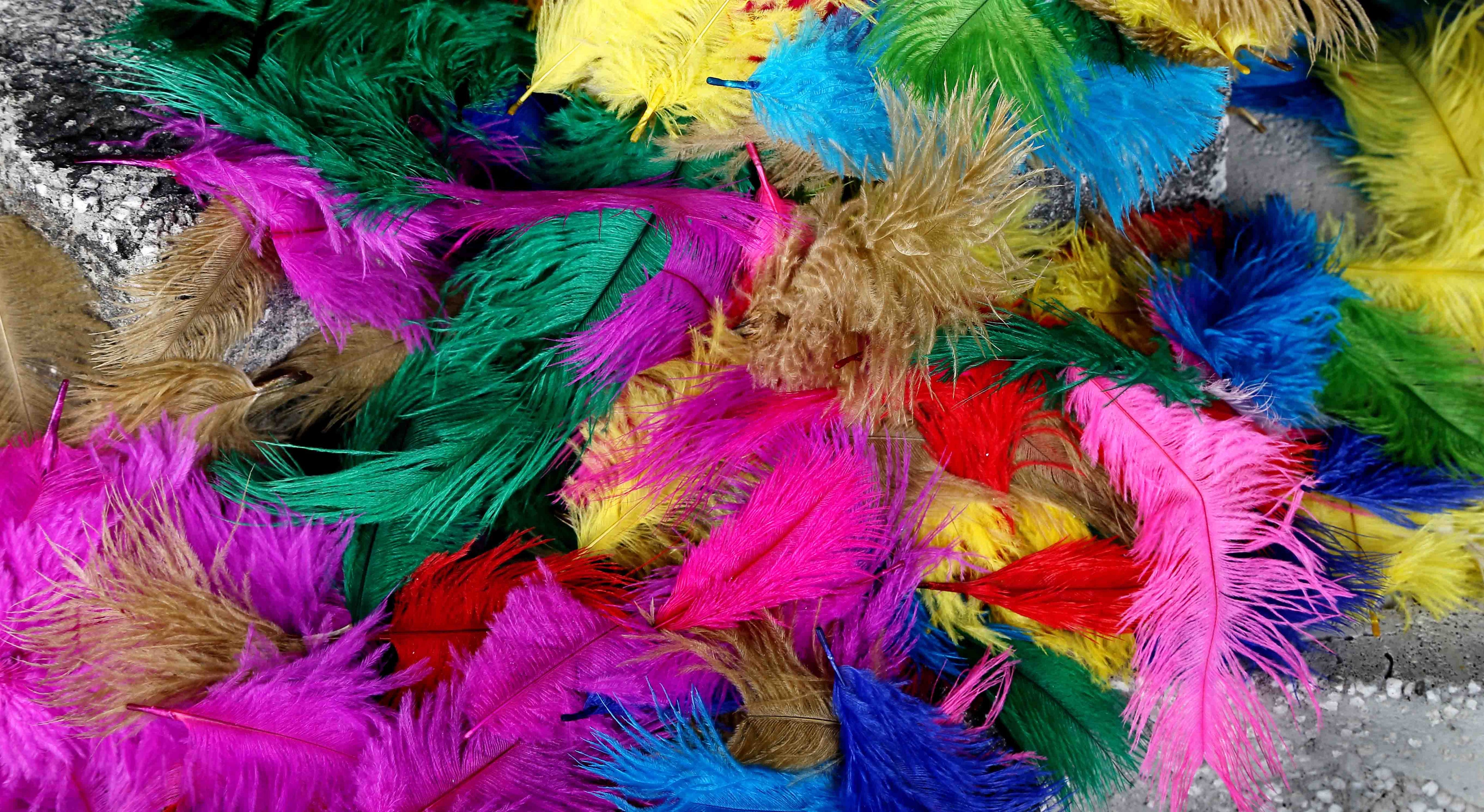 Ostrich Feather Keyrings - Ostrich2Love