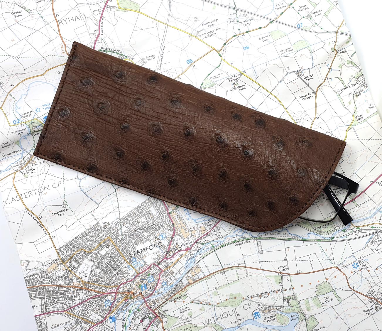 Ostrich Leather Glasses Case