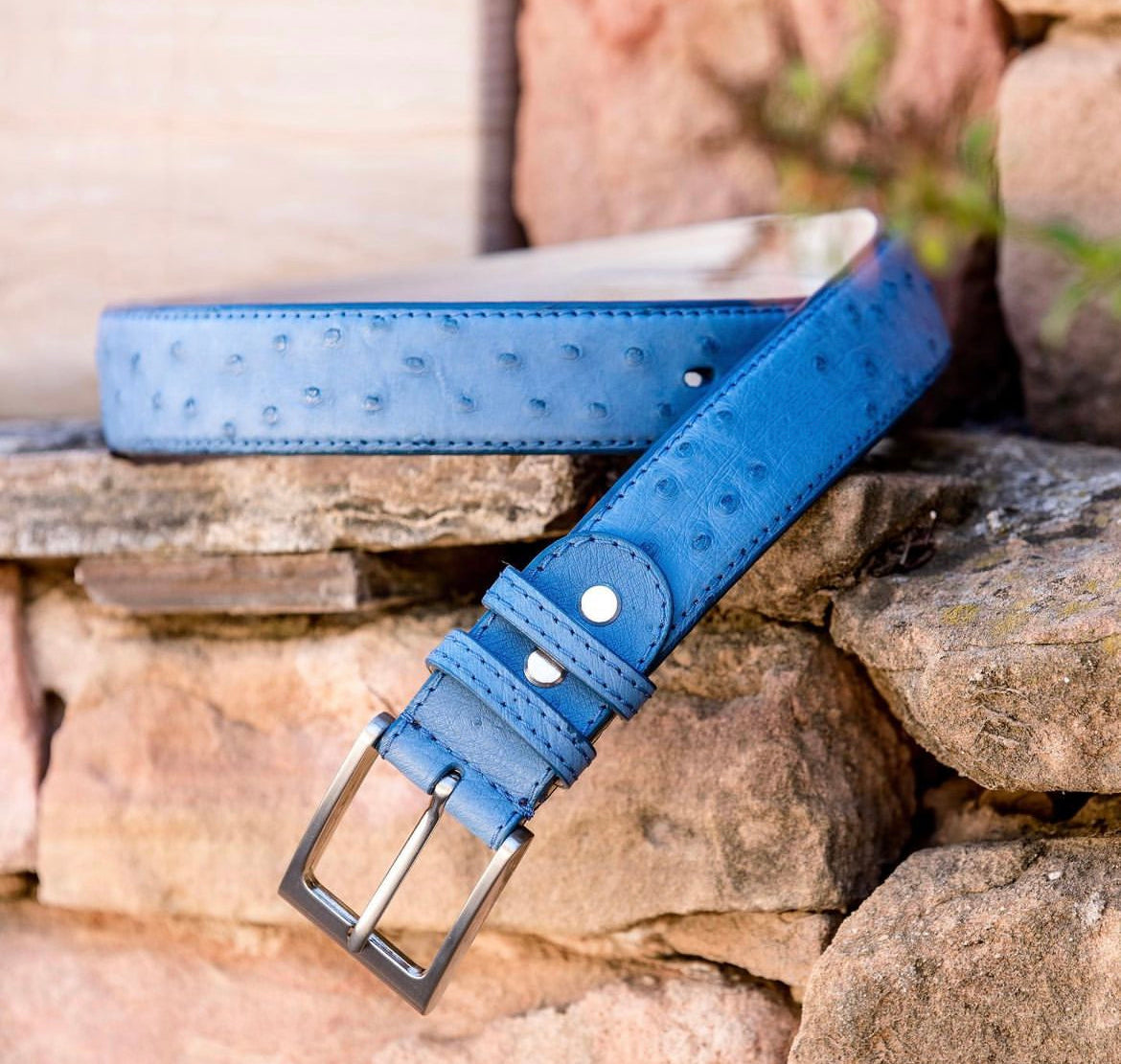 An ostrich belt