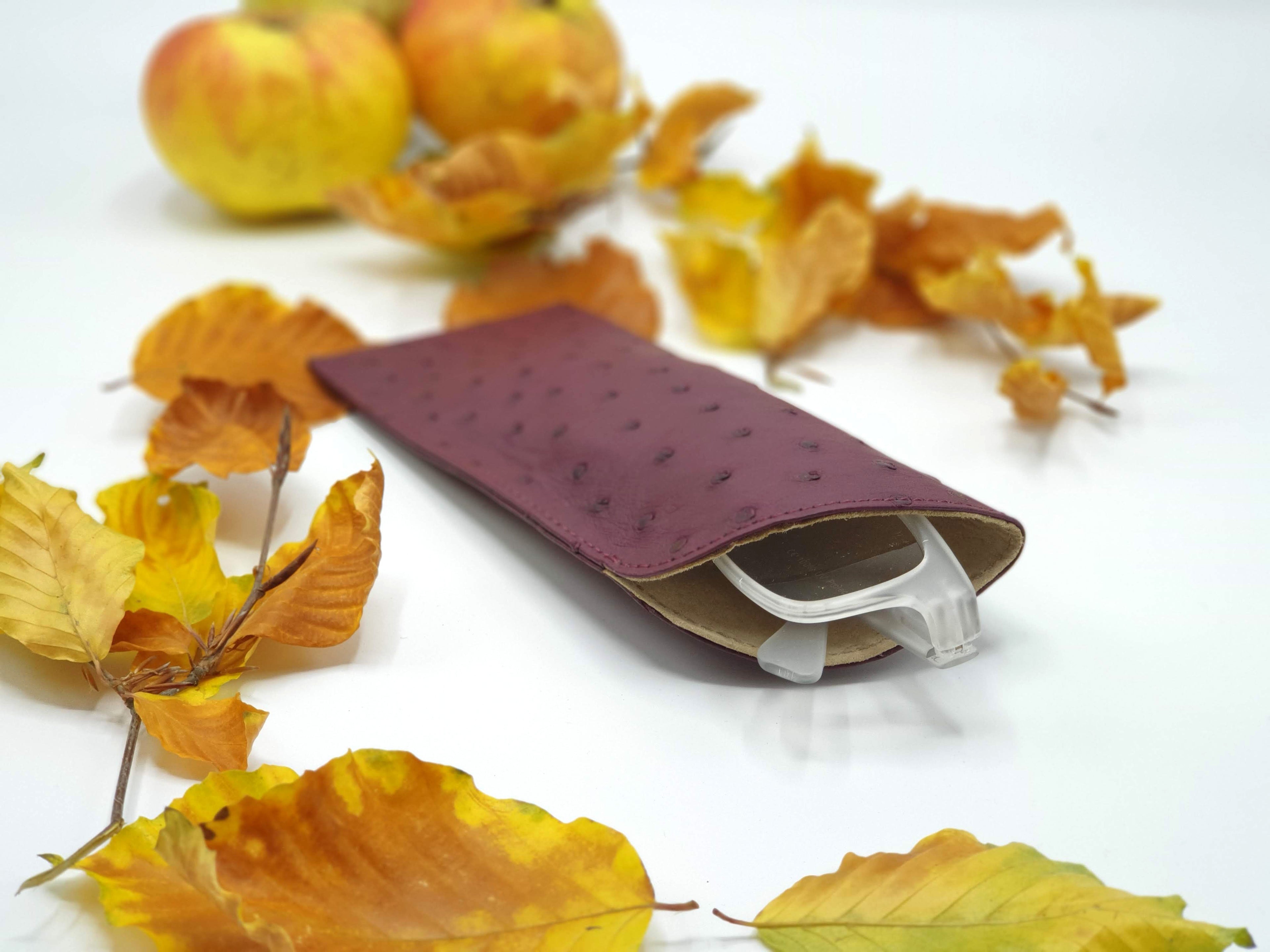 Ostrich Leather Glasses Case