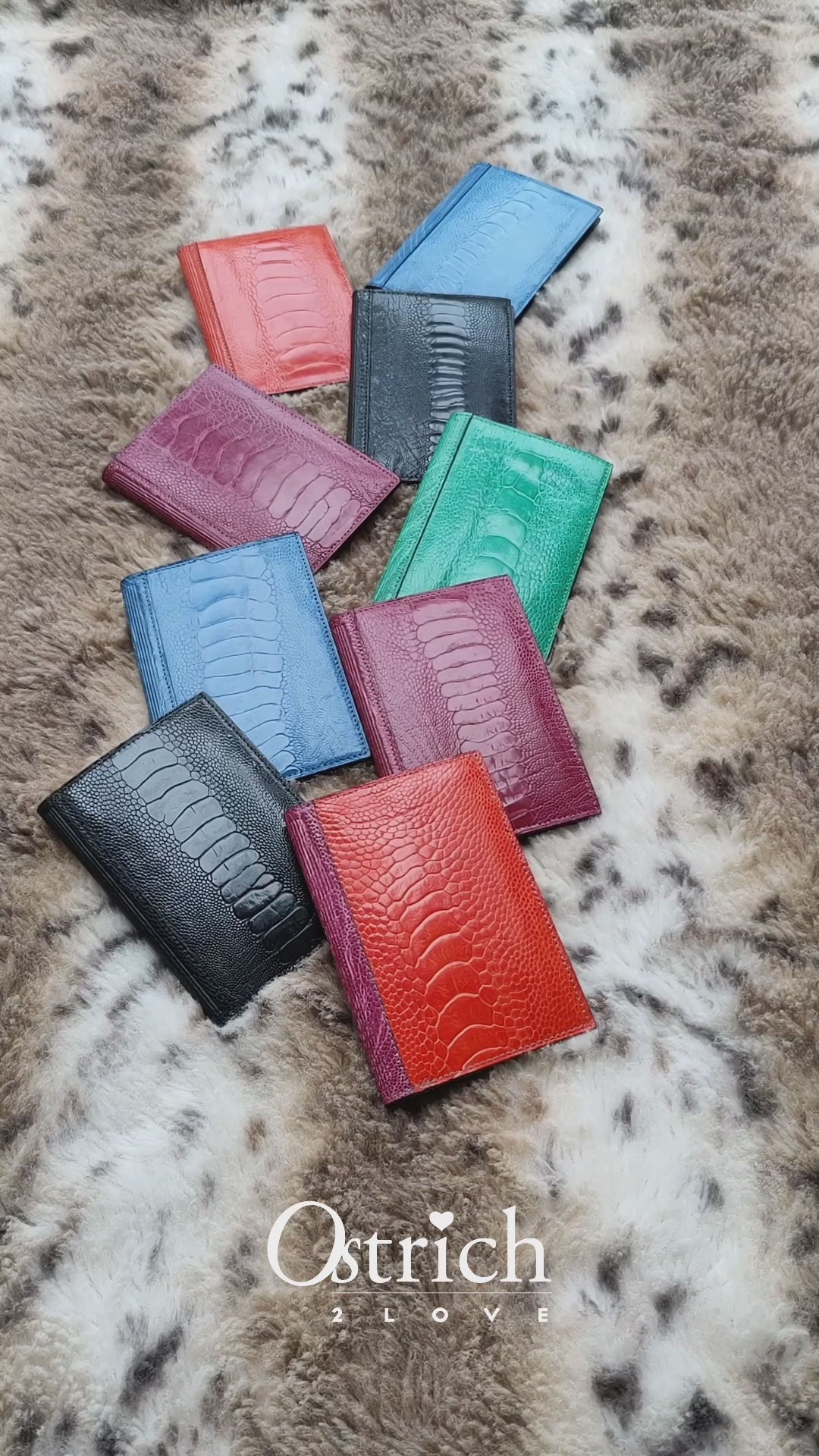 Arizona Ostrich Shin Leather Large Card Holder