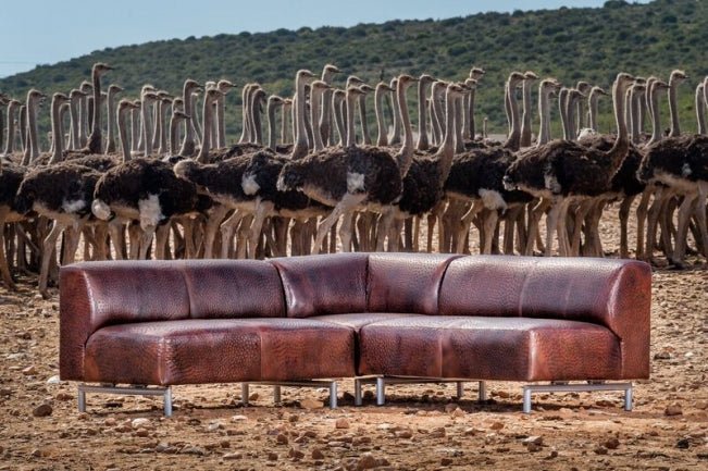 Most Remarkable Leather Type - Ostrich2Love