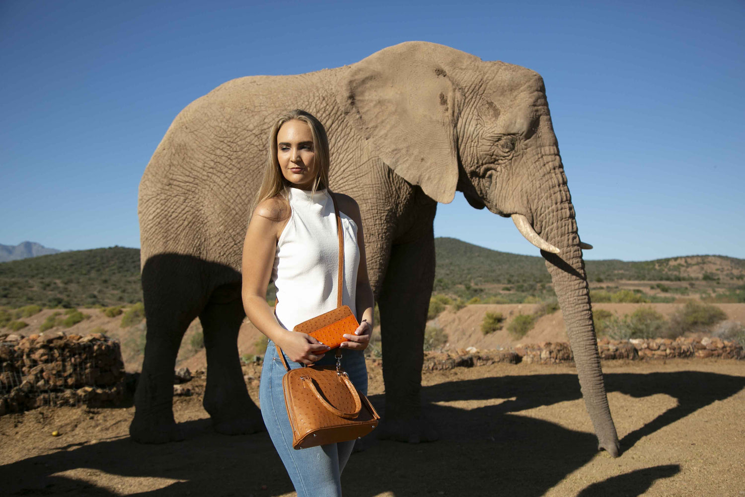 Ostrich Leather In South Africa - Ostrich2Love
