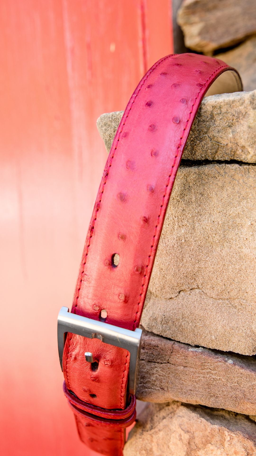 Ostrich Print (Imitation) Western Style Belt White main image 1