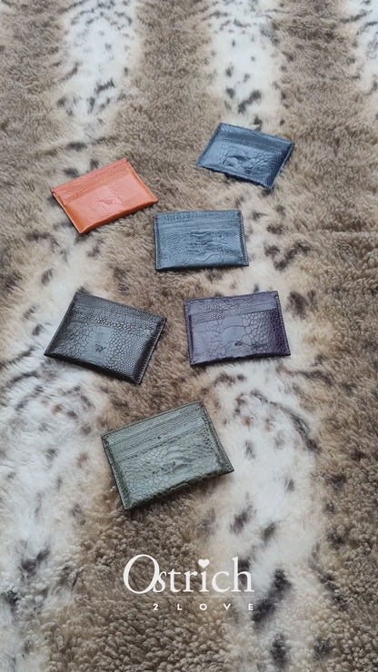 Nebraska Ostrich Shin Leather Small Cardholder