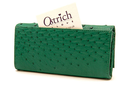 Ostrich Leather Knysna Wallet - Ostrich Leather Wallet